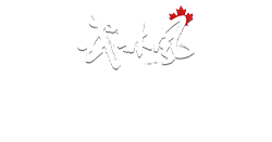 武林风 Logo