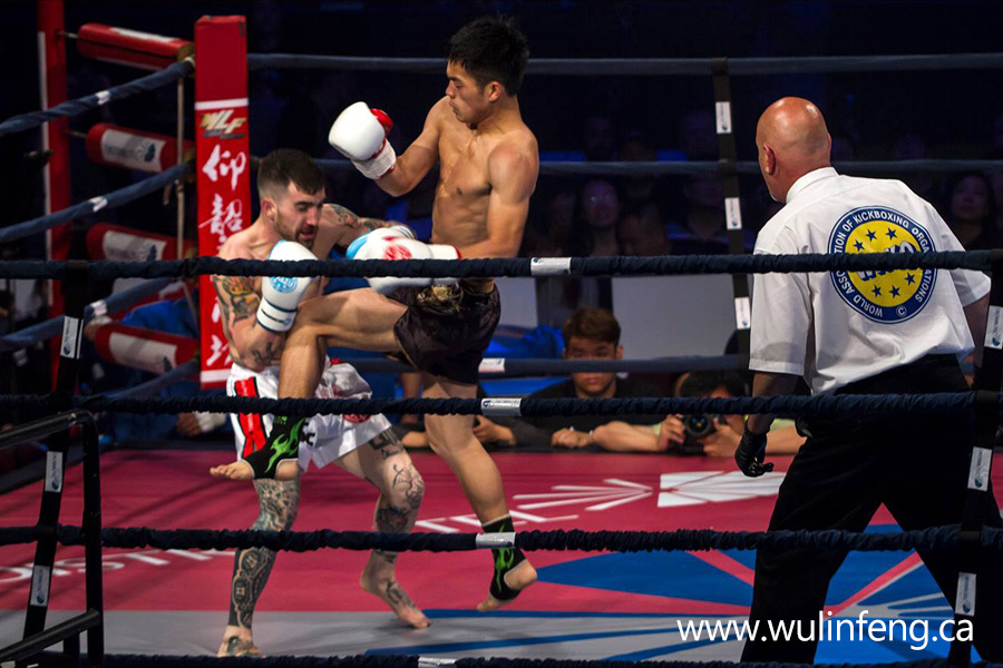 ross mylet mississauga