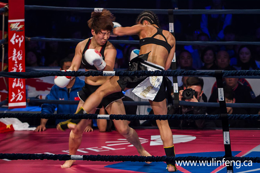 wulinfeng farinaz lari kickboxing